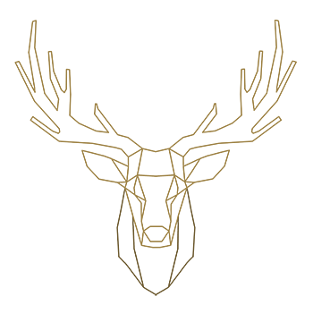 Fieldsports Photographer